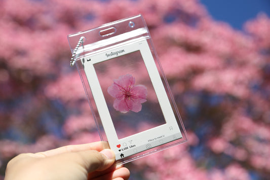 Handmade dry cherry blossoms postcard