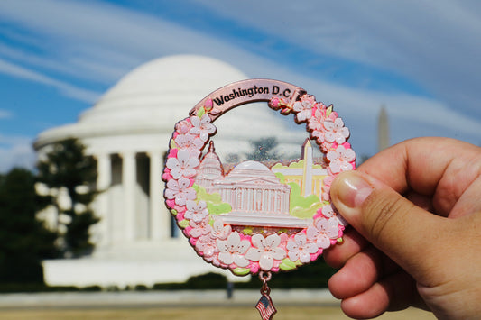 Washington DC cherry magnet