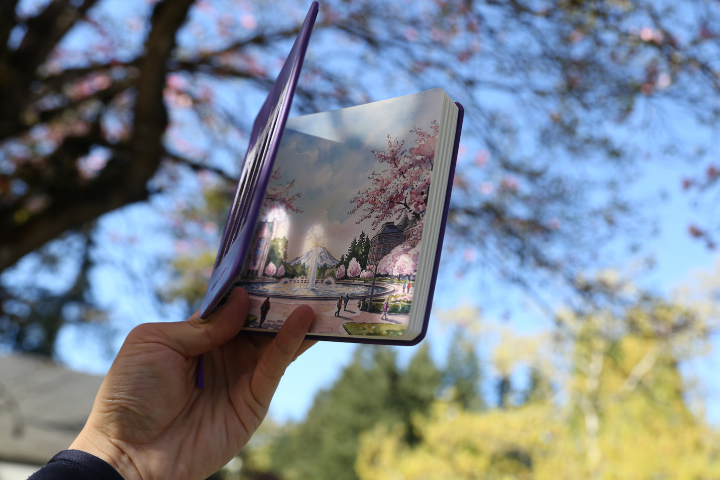 UW Notebook