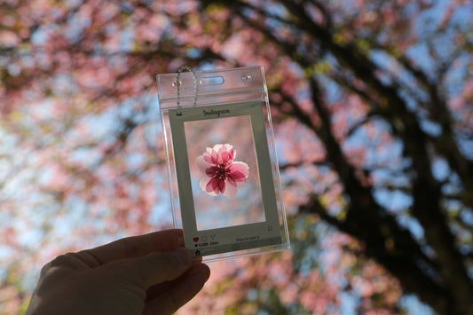 Handmade dry cherry blossoms postcard